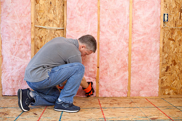 Best Soundproof Insulation  in Vamo, FL